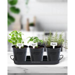 Newest Design Succulent <b>Herb</b> Pot <b>Planter</b> <b>with</b> Tray for Indoor and Outdoor Use French Cottage Black Metal <b>Herb</b> <b>Planter</b> - Product Image 1