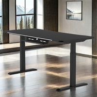 Bureau électrique 1.6m grande taille 120kgs charge statique double moteurs bureau de jeu meubles de bureau à domicile
