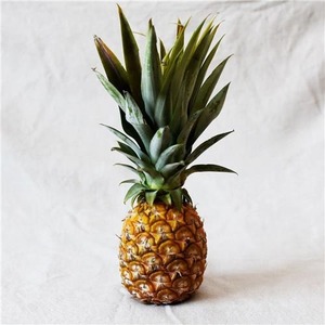 Venta Directa de Fábrica, Piñas Doradas Frescas de Alta Calidad, Cultivo Económico a Granel, Jugosas, Económicas, Piña Fresca de la Mejor Calidad - Product Image 5