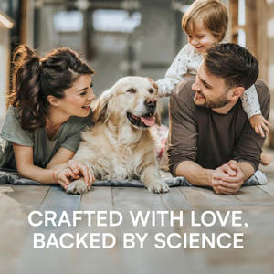 Glucosamine anjing dukungan sendi suplemen anjing pinggul dan bersama Chondroitin kunyah mengobati dengan MSM rami anjing nyeri sendi - Product Image 5