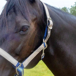 Correa de Cabeza para Caballo Suave, Arnés, Accesorios de Equitación, Nuevo Collar de Cabeza para Montar de Alexandria Industries - Product Image 6