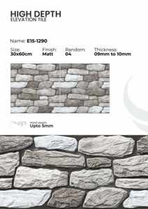 Azulejos de Porcelana para Paredes Exteriores de 300x600 mm, Elevación Exterior - Product Image 2