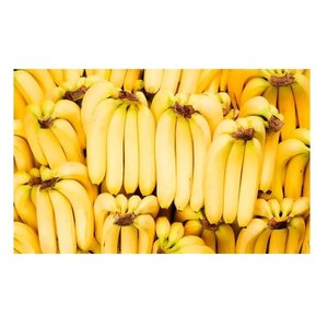 Свежие бананы зеленый банан Cavendish поставщиков