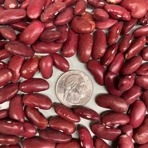 Frijoles rojos de alta calidad al por mayor al mejor precio y producto premium disponible - Product Image 1