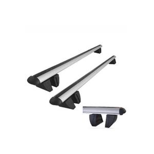 Ricerca bagaglio Surf No:2 artiglio tipo 140 Cm Set argento