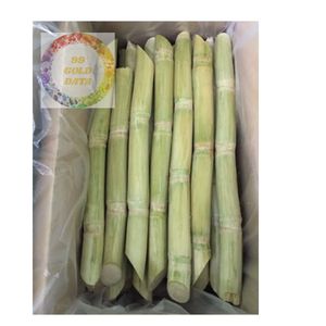 Vietnam IQF Caña de azúcar congelada Fresca Dulce y lista para aplicaciones de batidos y postres a precio de fábrica - Product Image 4