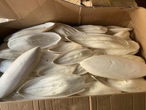 Os de seiche séché naturel, propre et traité, pour cage à oiseaux et soutien au calcium - Product Image 5