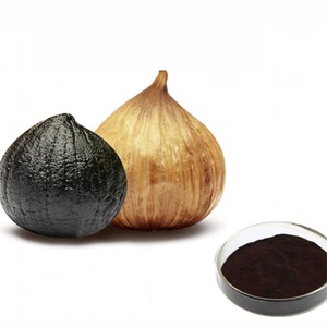 Direct Factory Supplier of Premium Protein Allium Sativum <b>Powder</b> Not Recommended for Pregnant Women for Adults - Product Image 1