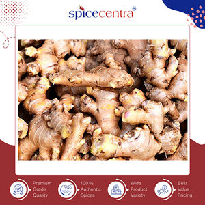 Jengibre de Maharashtra Puro, Auténtico, de Alta Calidad, Entero, Crudo y Seco, Delux, 12 Meses de Duración, para Cocinar, Origen India, Exportador - Product Image 5