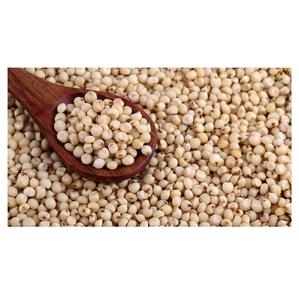 Prix de vente élevé des graines biologiques de quinoa blanc, grains de santé, en vrac - Product Image 1