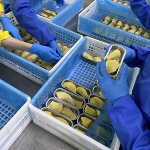 Frozen Durian Premium Thai durian, flash-frozen at peak ripeness to <strong>lock</strong> in its rich, creamy flavor. - Product Image 5