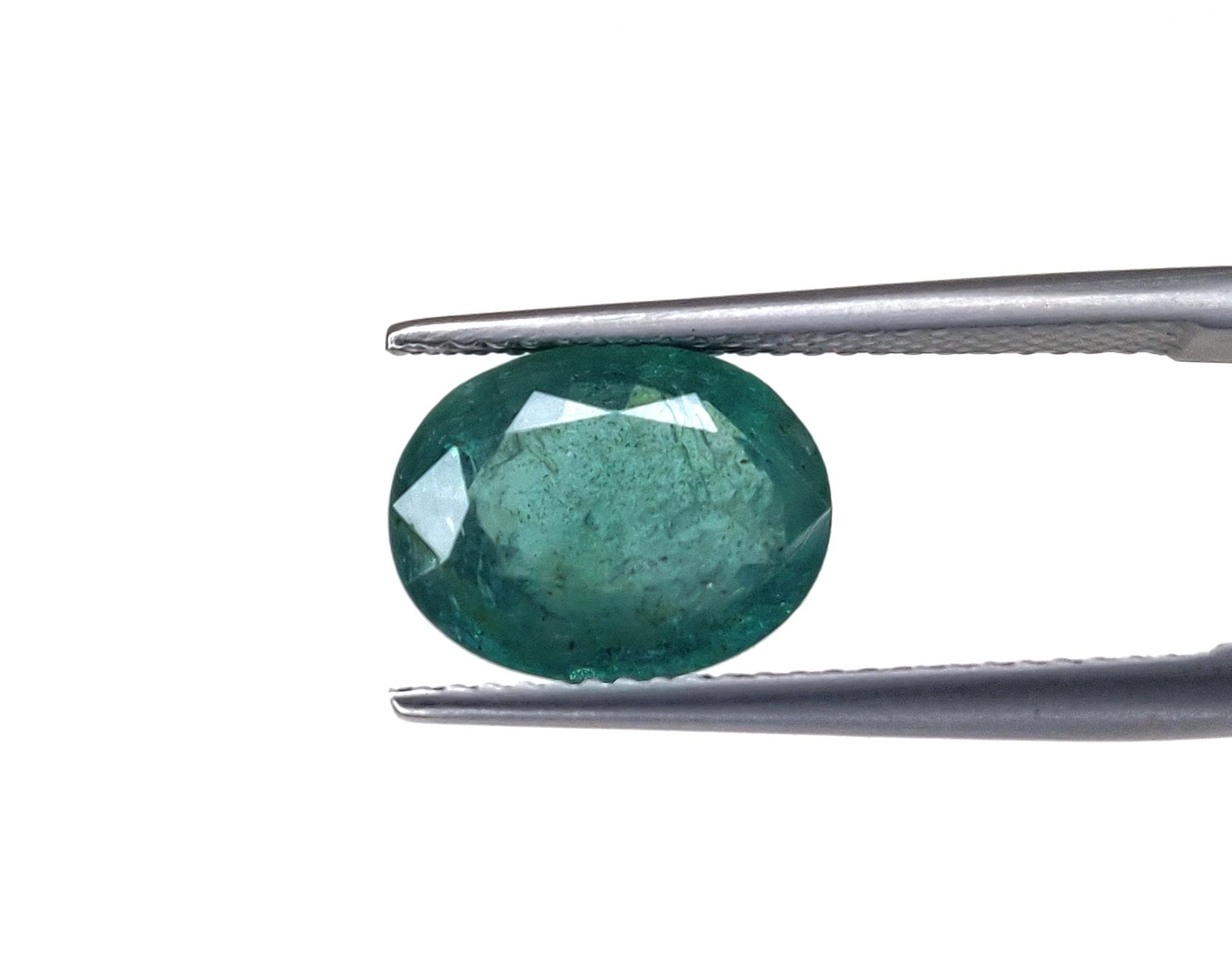 สีเขียวปานกลาง