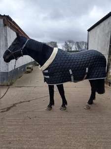 Venta caliente de alta calidad invierno caballo estable alfombra 250 Gsm Pollyfill manta estable en colores surtidos al por mayor - Product Image 3