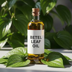 Huile de feuille de bétel distillée à la vapeur exportateur en gros de l'Inde huile essentielle naturelle de haute qualité pour cosmétiques aromathérapie - Product Image 1