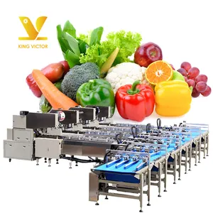 全自动专业设计蔬菜水果包装机: