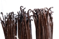Vainas de Vainilla RENDAH PLANIFOLIA GOURMET de 18-19 cm, Calidad Super Premium, Indonesia, Vainas de Vainilla Bourbon de Gran Venta, PVBGR 18-19 AD