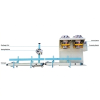Machine d'emballage de poudre grande capacité pour usine, 5kg 15kg 25kg, pour lessive, farine, amidon de maïs, remplisseuse industrielle