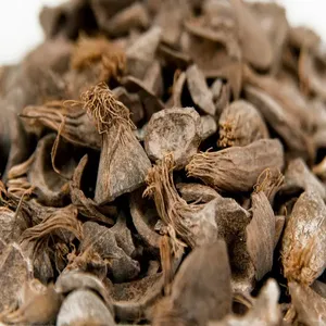 Venta al por mayor de cáscara de palmiste (PKS)/cáscara de coco/carbón de cáscara de palmiste - Product Image 1