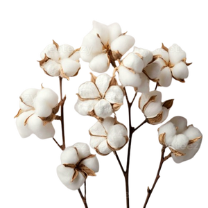 Fleurs en coton avec des tiges pour les mariages Home Decor Parties-Saint Valentin Idée cadeau Amazon Best-seller Naturel - Product Image 1