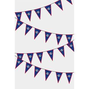 Party <b>Banners</b> Guam Triangular Flag Bunting - Product Image 1