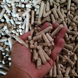 Miembros de la cáscara de Vietnam Mejor Venta de miembros de la cáscara Buena calidad de los miembros de la cáscara Producto agrícola - Product Image 1