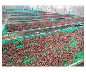 Granos de Cacao de Vietnam a Precio de Fábrica para el Mercado de Exportación - Granos de Cacao Limpios y Fermentados al 95% para la Elaboración de Chocolate - Product Image 1