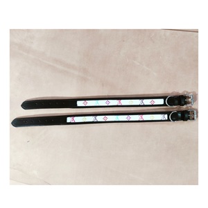 ที่กําหนดเองเป็นมิตรกับสิ่งแวดล้อมกันน้ําสัตว์เลี้ยงปลอกคอสุนัขนุ่มที่มีสีสัน PVC เคลือบไนลอน Webbing สัตว์เลี้ยงปลอกคอสุนัขกลางแจ้งขายส่ง - Product Image 6