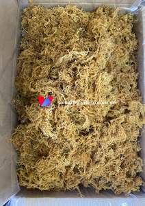 มอสทะเลไอริชตากแห้ง (kappaphycus alvarezii) ในราคาที่ดีที่สุดจากเวียดนาม // Ms. shyn - Product Image 3