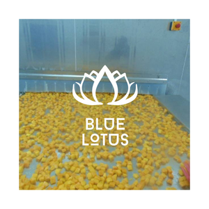 HOT SELLING Frozen Mango 2025 Vietnam IQF High Quality Sweet Tropical Fruit Sustainable Available Export Best Price - Product Image 1