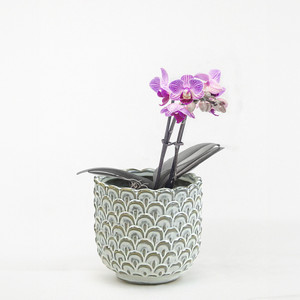 CQB6204CR - Petit bol en céramique crème avec motif à échelle - 4,2 W x 4. H - Product Image 3