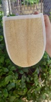 Lave-vaisselle naturel propre bio séché luffa éponge luffa luffa lufa loofa éponge 99GD