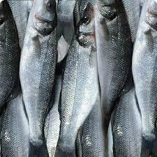 ปลากะพงขาวดำสดใหม่แช่แข็ง24เดือน - Product Image 4