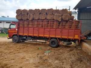 Fardos de fibra de coco Natural 100% de alta calidad, turba de fibra de coco para tejer, venta al por mayor, fardos de coco - Product Image 6