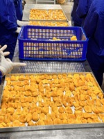 Premium Haccp-Gecertificeerde Gevriesdroogde Jackfruit Rijk Voedzaam Zoet Zacht Gedroogd Fruit Van Vietnam Fabriek Oem Verpakking Rts