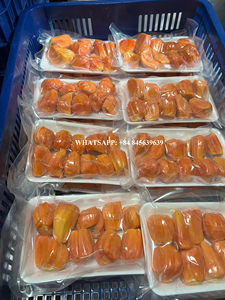 Venta al por mayor de alta calidad precio competitivo Frozen Jackfuit dulce natural vendido entero o pelado de Vietnam - Product Image 6