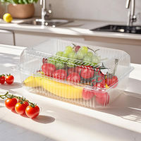 Op maat gemaakte transparante voedselveilige PET plastic wegwerpverpakking voor sushi, hamburger, brood, vierkante en rechthoekige fruitverpakkingen