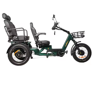 1750w Dual Motor Electric Tricycle 48v 60ah <b>Battery</b> off Road 3 Wheel Electric Bike 200KM Long Range - Product Image 1