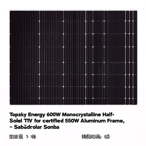 Panel Solar Monocristalino de Media Celda Topsky Energy de 600W con Certificación TUV, Marco de Aluminio de 550W-600W - Product Image 2