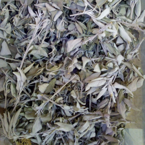 Majani Ya Sage Ubani Kwa Ajili Ya Kusafisha Holder Mshumaa Wenye Harufu Nzuri Sandalwood Aromatic Wax <b>Plug</b> Kusema Home Use - Product Image 2