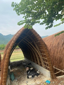 Bungalow A frame 100% Casa prefabricada de bambú ecológica 20m2 Estilo simple CENVINEX Vietnam Impuesto a la exportación 0% - Product Image 2