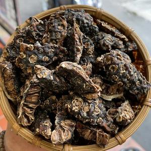 Vente de gros Morinda citrifolia séchée au soleil Fruits noni secs naturels de qualité supérieure prêts à exporter - Product Image 1