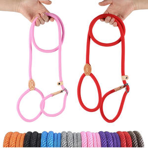 Readymade pembe butik naylon halat XXS Pet yürüyüş kayma benzersiz kurşun köpek eğitim P uzun gösterisi tasma kırmızı kordon kayma tasma döngü - Product Image 1