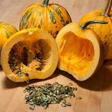 50 Pcs Seeds Organic Ottoman Turkish Pumpkin Seeds Natural Zucchini Hobby Garden Zucchini