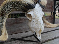 Décoration murale en corne sculptée, Tête de chèvre rétro, Statues de crâne, Matériau organique, Écologique, Animal marin, Style européen pour la maison
