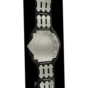 เข็มขัดแชมป์แบบกำหนดเอง แผ่นโลหะสีเงิน หนังแท้ สำหรับมวย MMA มวยปล้ำ - Product Image 1