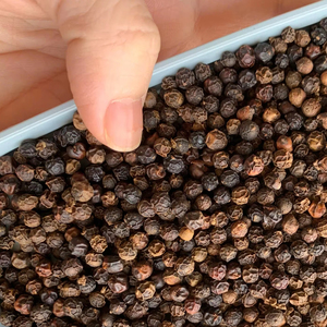 Pimienta de producto agrícola vietnamita de alta calidad del proveedor Bao Tram Anh buen precio ofrecido - Product Image 1