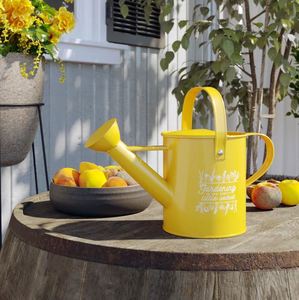 Maceta de Metal galvanizado para riego de plantas de interior, maceta para plantas de interior y exterior, flores, casa y jardín - Product Image 2