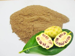 Extracto Herbal de Fruta de Noni en Polvo Derivado de Morinda Citrifolia, Cuidadosamente Procesado para Garantizar Pureza y Calidad, Grado Alimenticio - Product Image 2