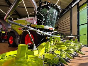 เสือจากัวร์970 - Product Image 4