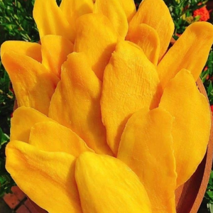 Tranches de mangue Premium 100% naturelles parfaites pour les collations - Product Image 5